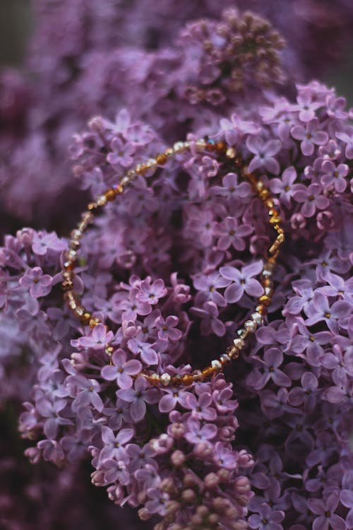 Bead Bracelet on Top of Purple Flowers