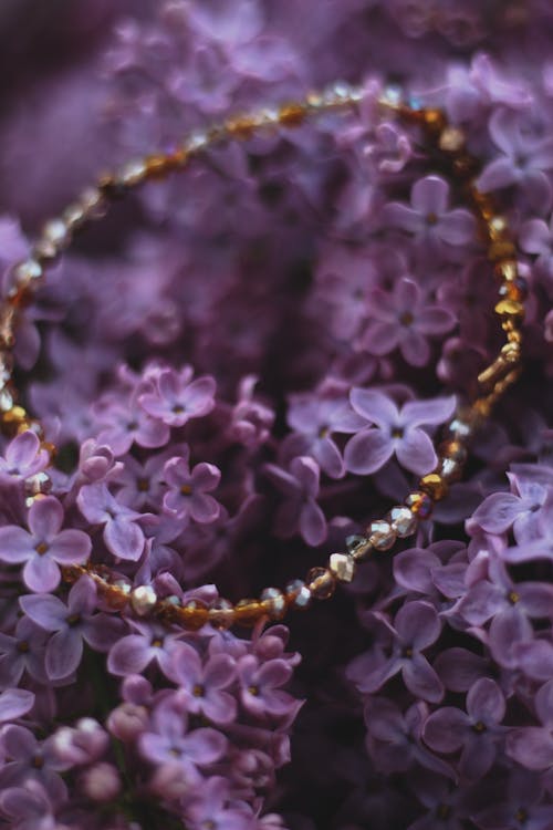 Beaded Bracelet on Common Lilac Flowers