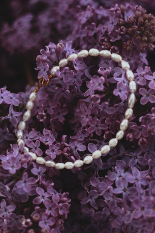 Free A close-up of a pearl bracelet surrounded by vibrant purple lilac flowers, showcasing elegance and beauty. Stock Photo
