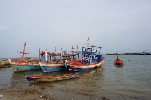 Foto stok gratis air, bahtera, kapal nelayan