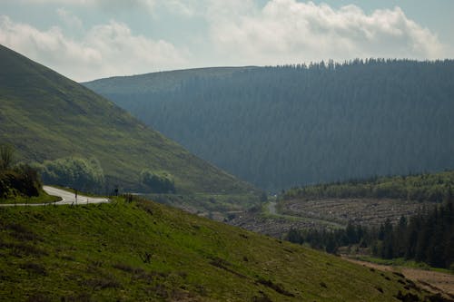 Gratis stockfoto met berg, bergketens, bomen