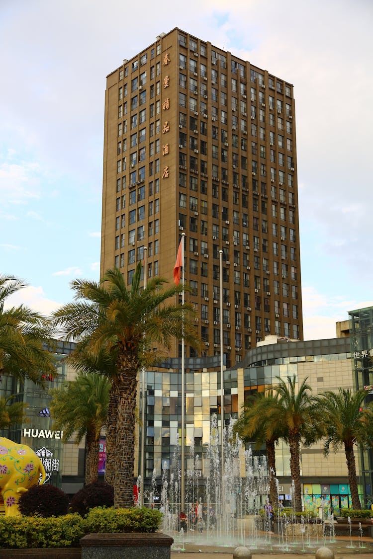 Palm Trees And Fountain In City