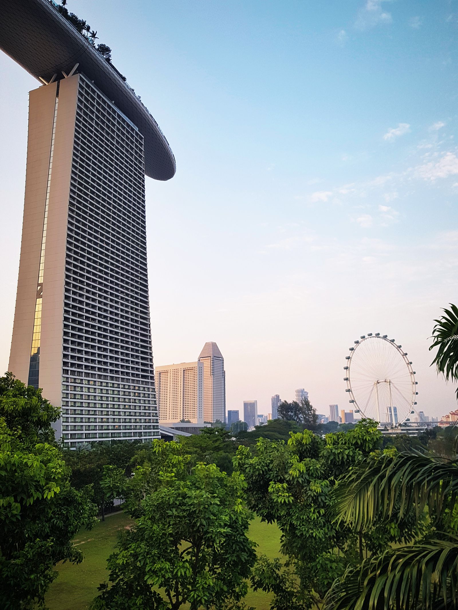 Singapore Mandai forest area