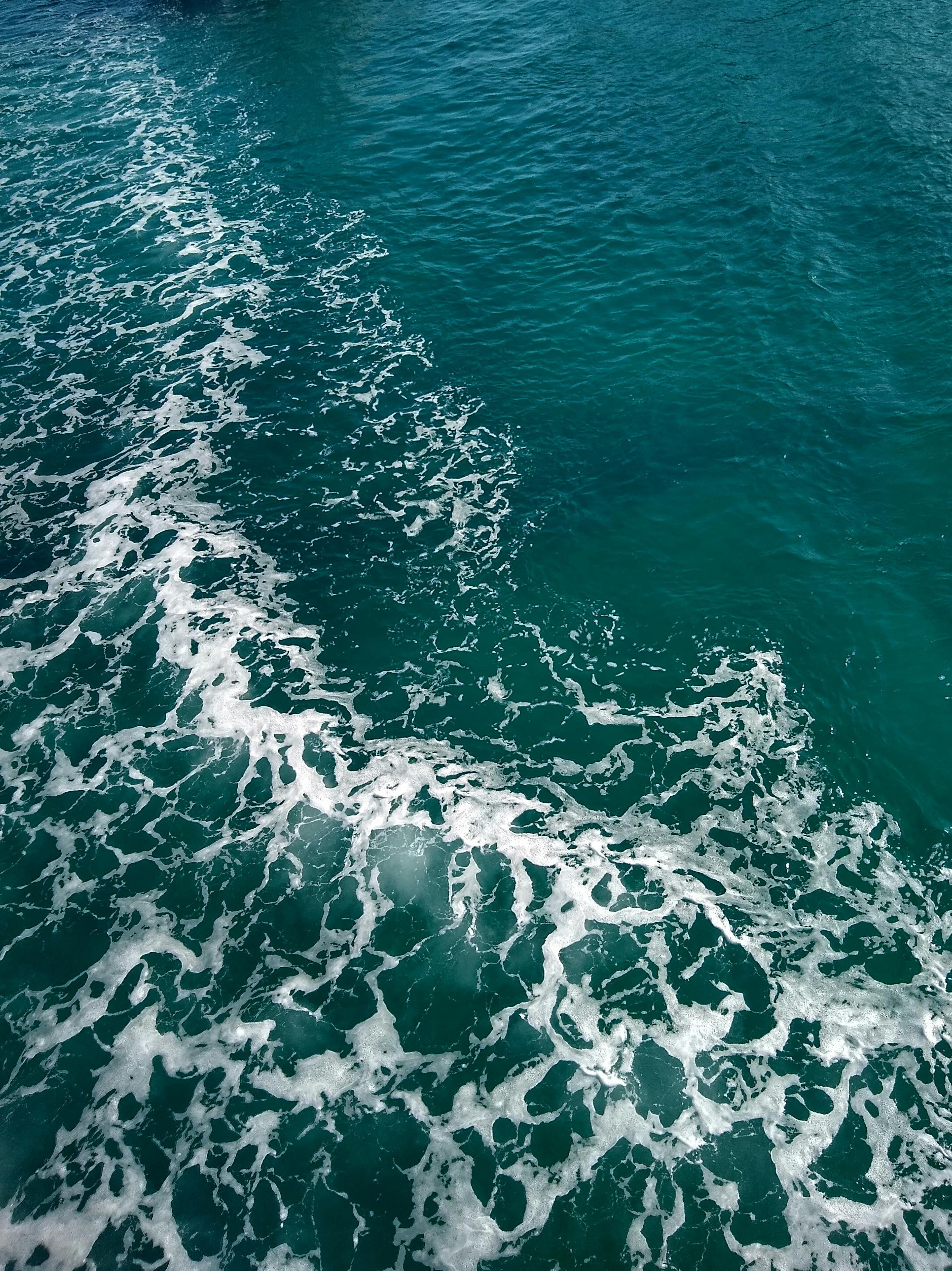 Blue and White Ocean · Free Stock Photo