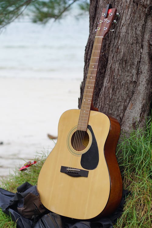 ağaç gövdesi, akustik gitar, dikey atış içeren Ücretsiz stok fotoğraf