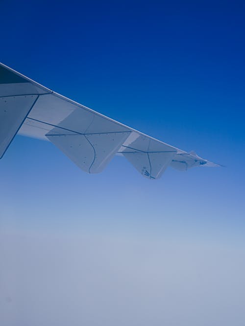 Foto d'estoc gratuïta de ala d'avió, ala de l'avió, aviació