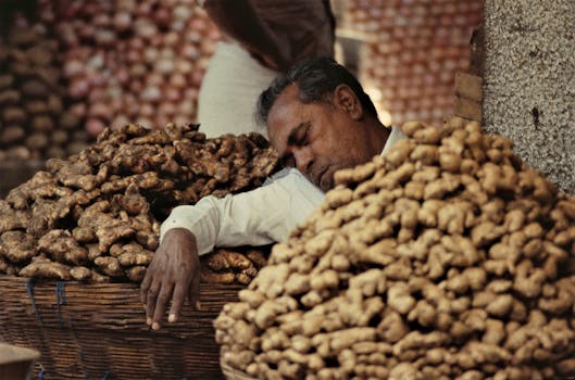 A vendor resting amidst large piles of ginger in a bustling Mysuru market.