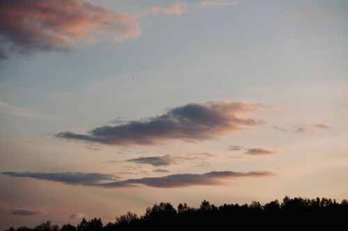 Free Serene sunset scene with silhouette of trees and colorful clouds in Niasviž, Belarus. Stock Photo