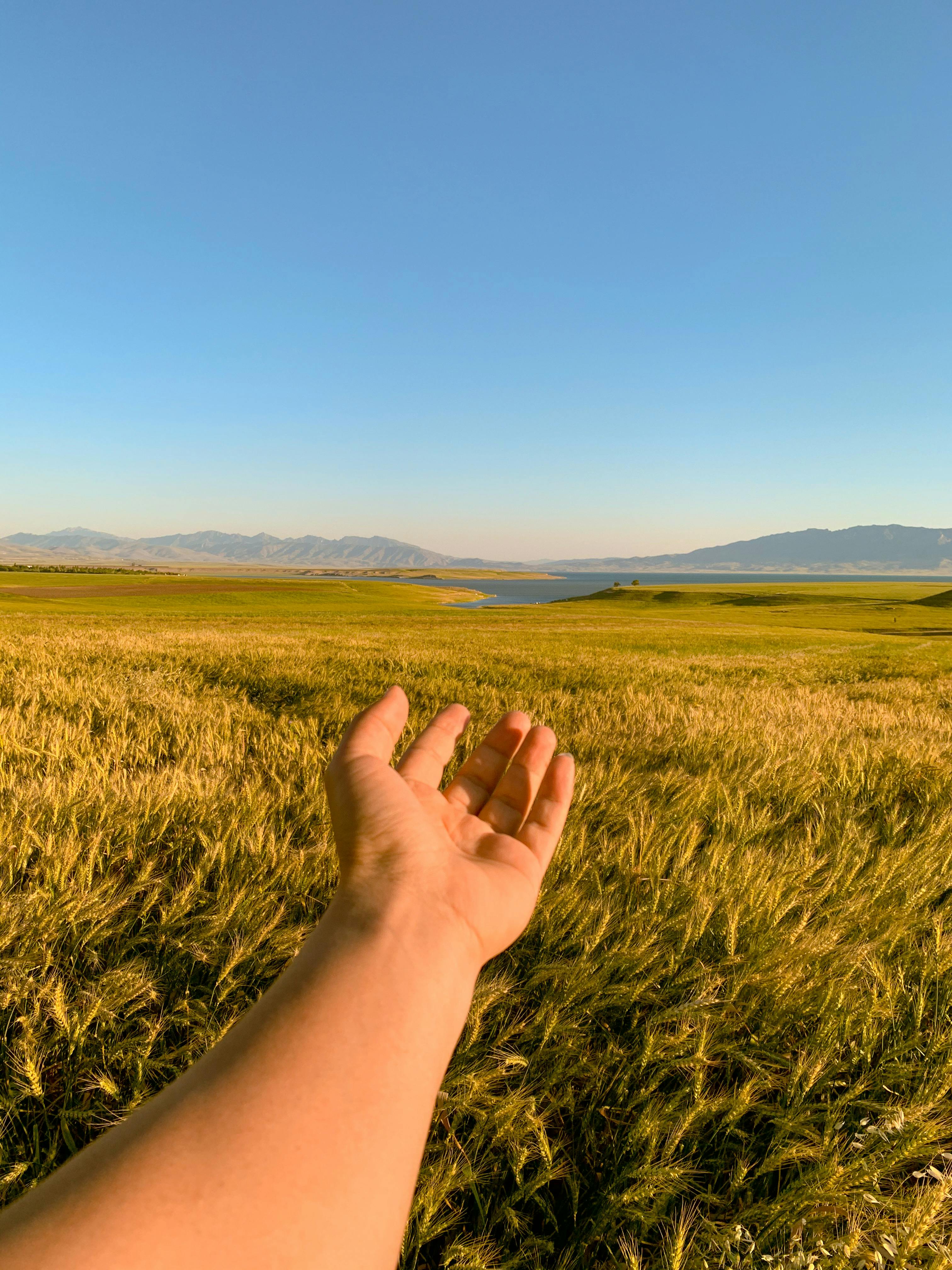 Gratis stockfoto met adembenemend, avontuur, Azië Stockfoto