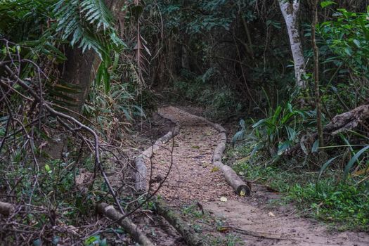 Kokoda Trail trek (8 days) — Papua New Guinea