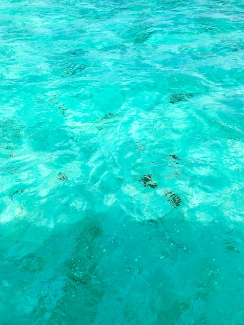 Turquoise Water