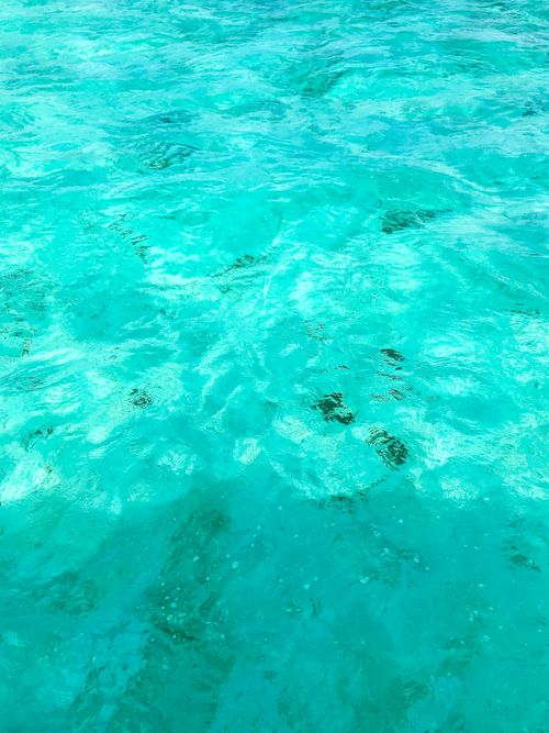 Free Close-up view of vibrant turquoise waters in Venezuela's Dependencias Federales. Stock Photo