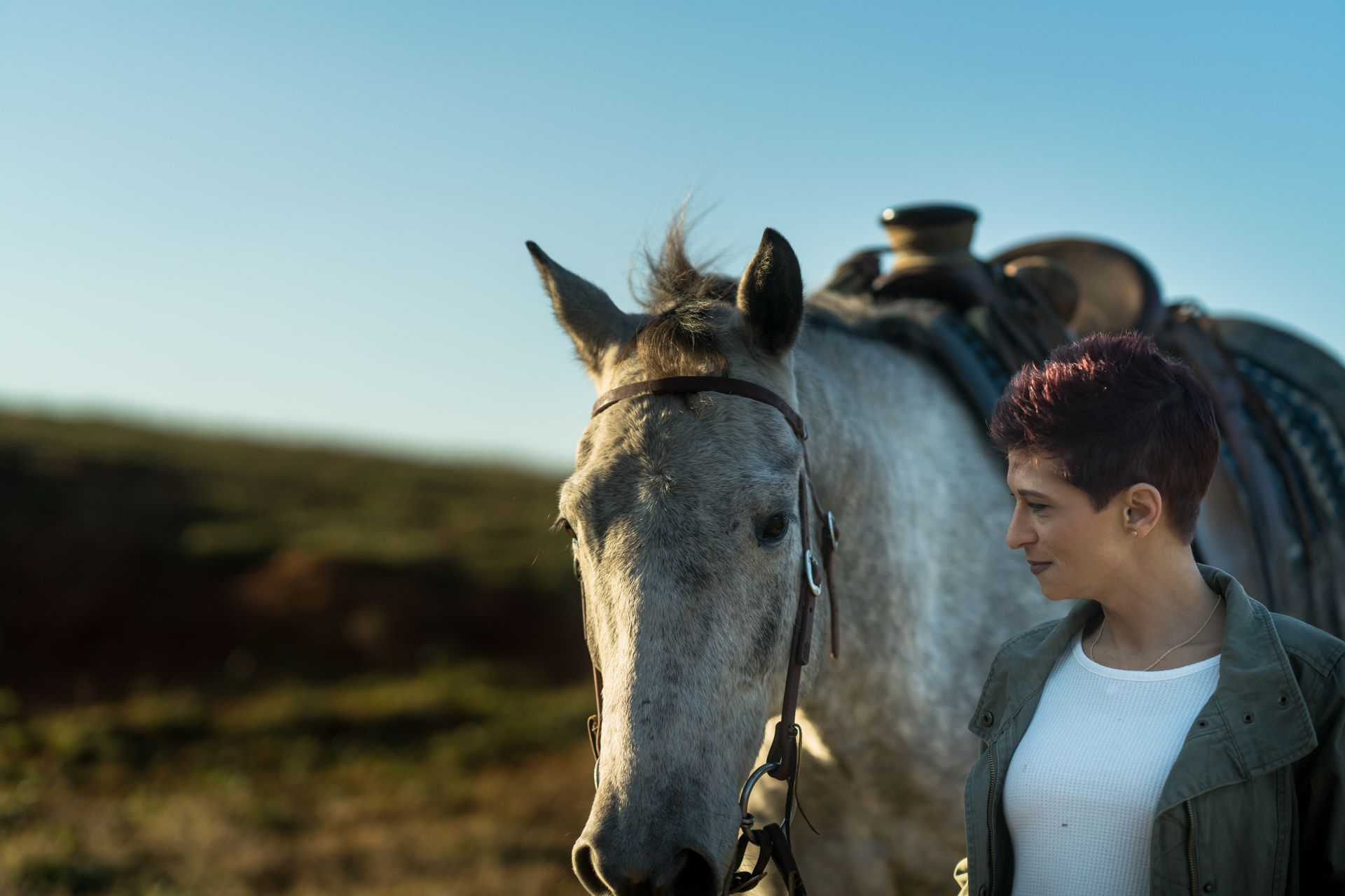 A woman gently interacting with a horse outdoors, bathed in warm daylight.