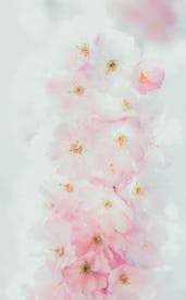 + Fotos y Imágenes de Fondo de pantalla en colores pastel Gratis · Banco de Fotos Gratis + Fotos y Imágenes de Fondo de pantalla en colores pastel Gratis · Banco de Fotos Gratis
