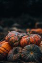 Orange and Green Pumpkins on Ground