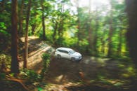 一辆汽车飞驰在风景如画的森林小径上，捕捉到了澳大利亚冒险与自然的精髓