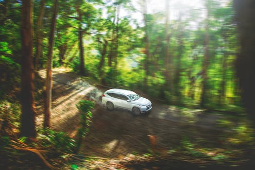 A vehicle speeds through a picturesque forest trail, capturing the essence of adventure and nature in Australia.