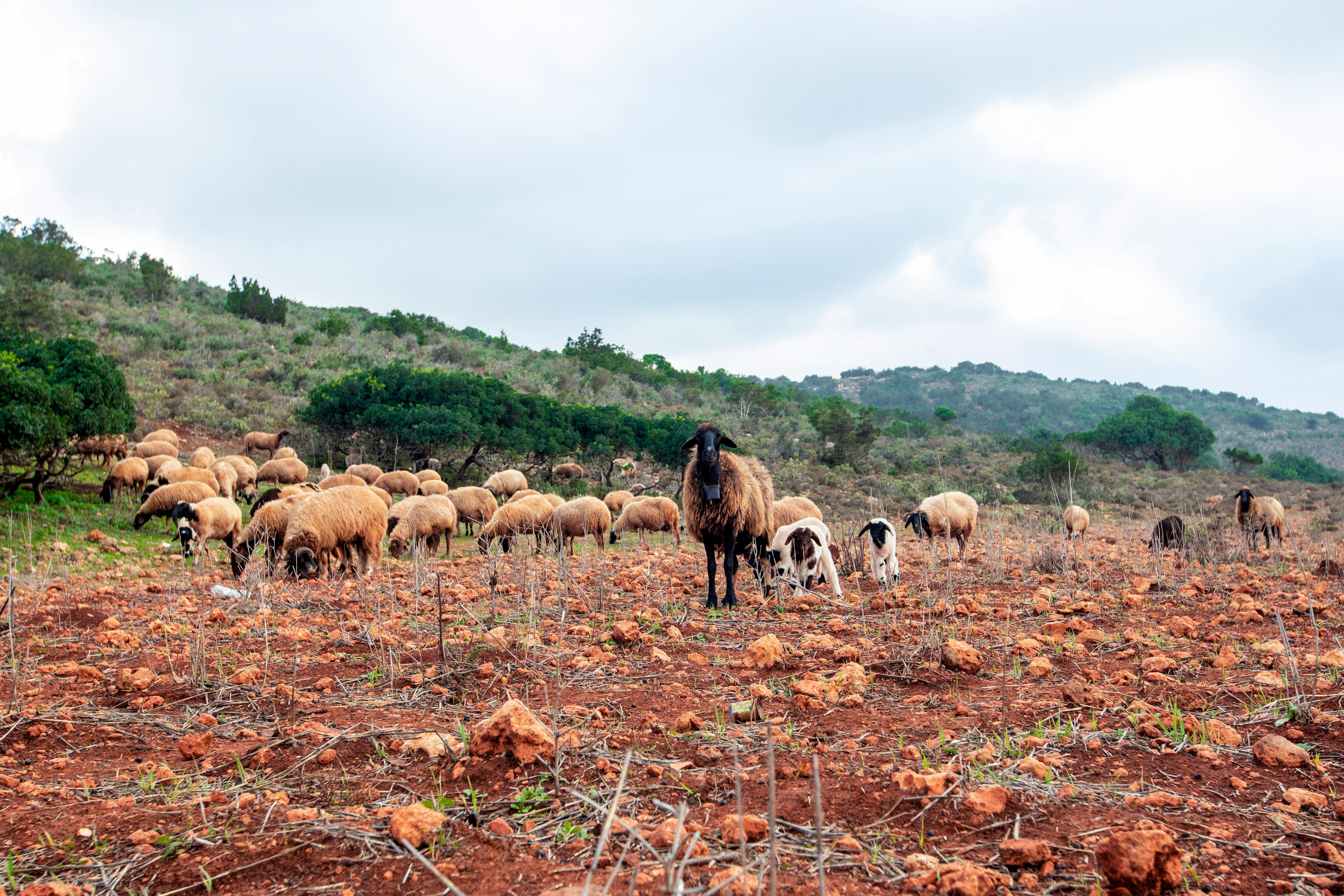 Очередь за водительскими правами