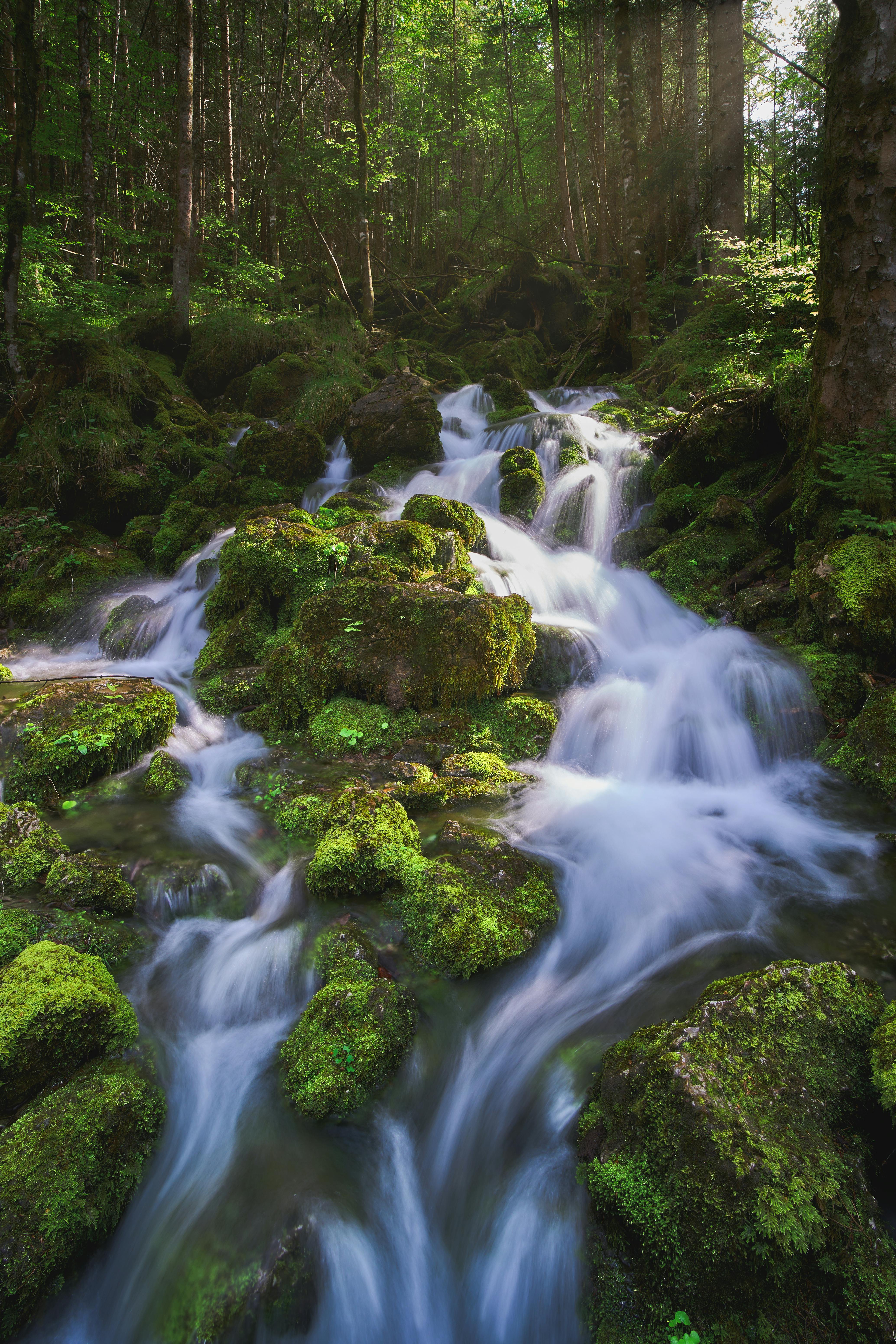 Water Flowing By Moss Covered Rocks In A Stream - PacificStock