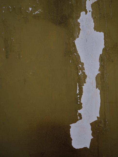 7 Warning Signs Your Springfield Home Needs Painting (Before Damage Gets Worse) 2 Alligatoring pattern on exterior paint showing advanced paint failure