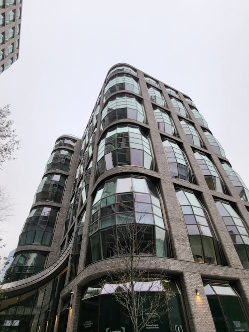 Gray Concrete Building With Glass Windows