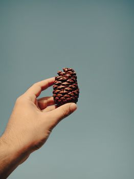 Close-up of a hand holding a pine cone against a clear blue sky in Kurdistan's serene landscape.