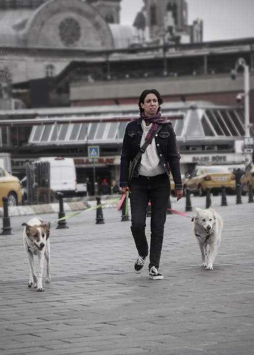 Woman Walking Dogs