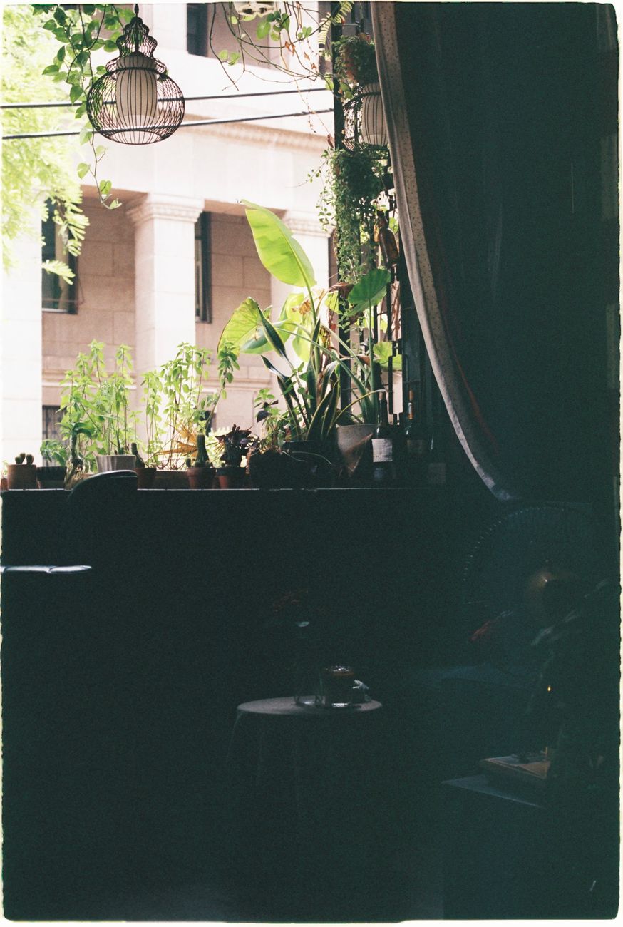 Cozy indoor area featuring potted plants by a window with sunlight filtering in.