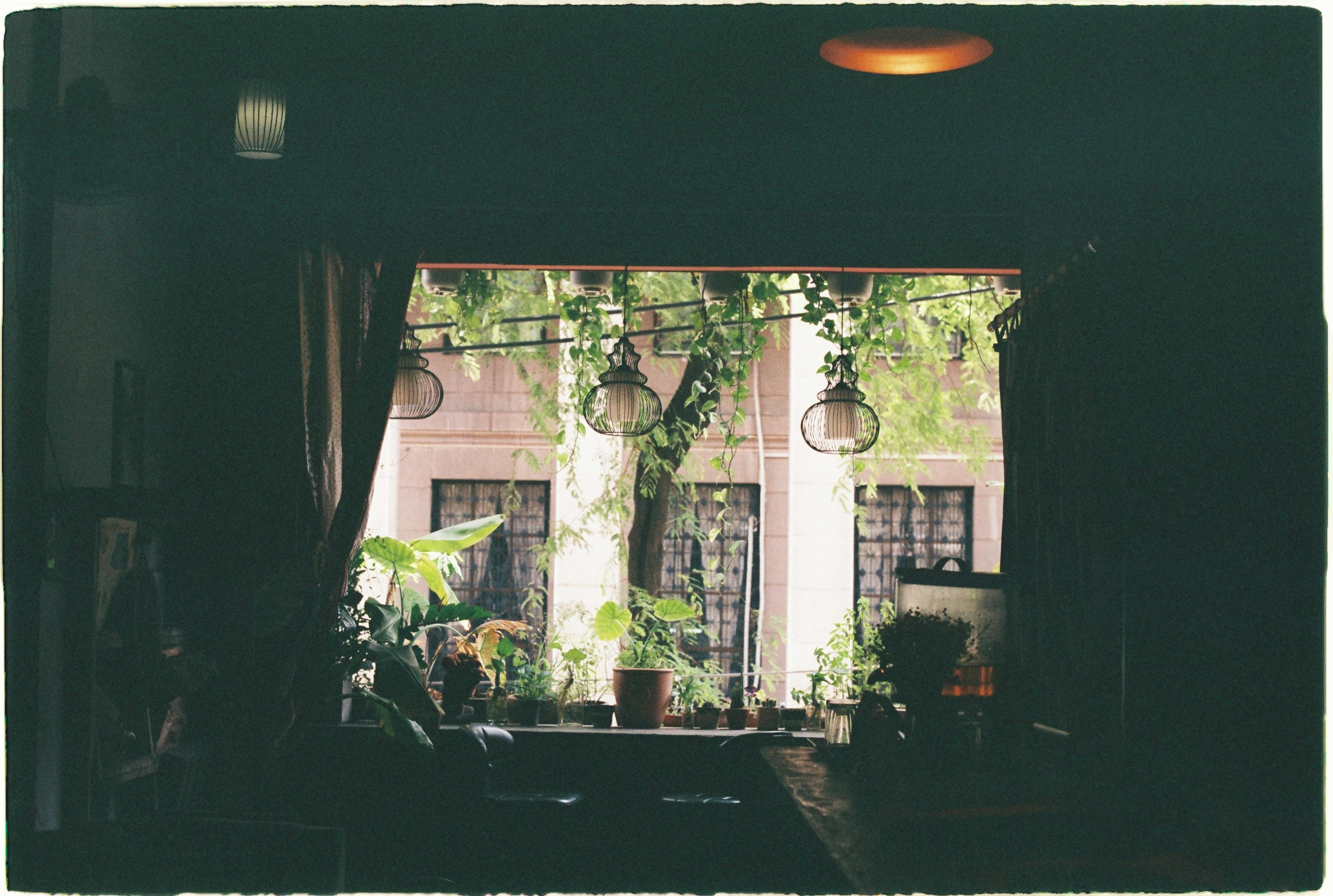 Woman Looking Out of a Window · Free Stock Photo