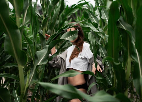 Woman in White Shirt Standing on Corn Field