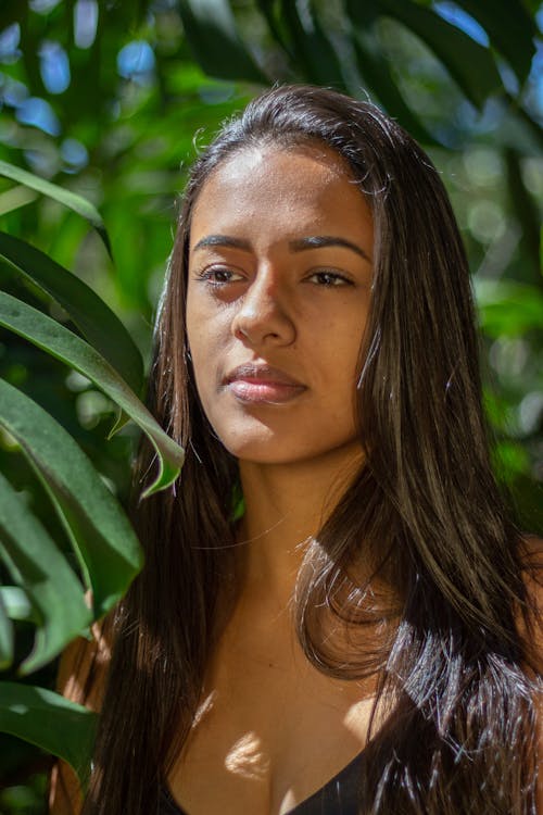 Kostnadsfri bild av ansikte, attraktiv, Brasilien