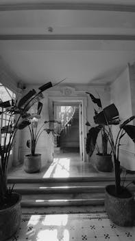 Elegant black-and-white image of indoor plants in a classic İstanbul interior.
