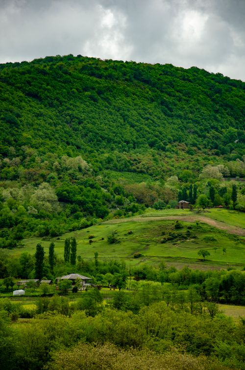 Free Breathtaking green hills and countryside landscape with dense forest under a cloudy sky. Stock Photo