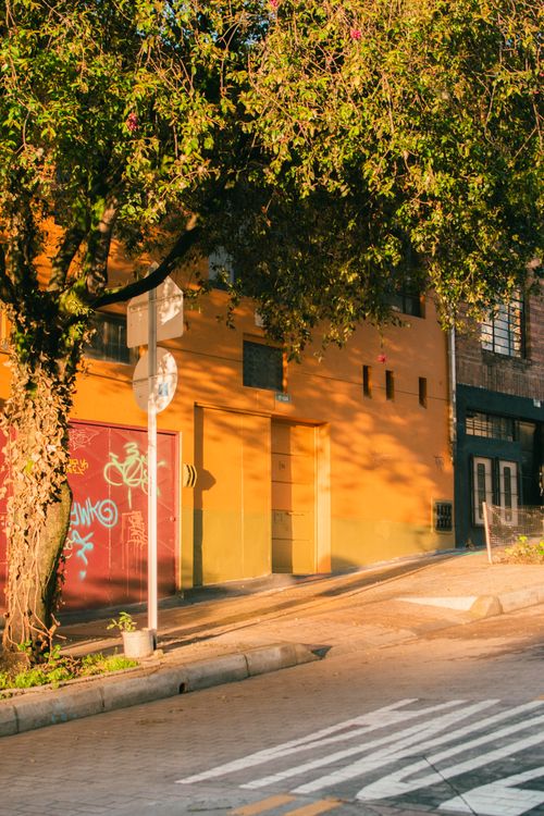 Free A charming street in Bogotá with vibrant building facades and lush trees bathed in warm sunlight. Stock Photo