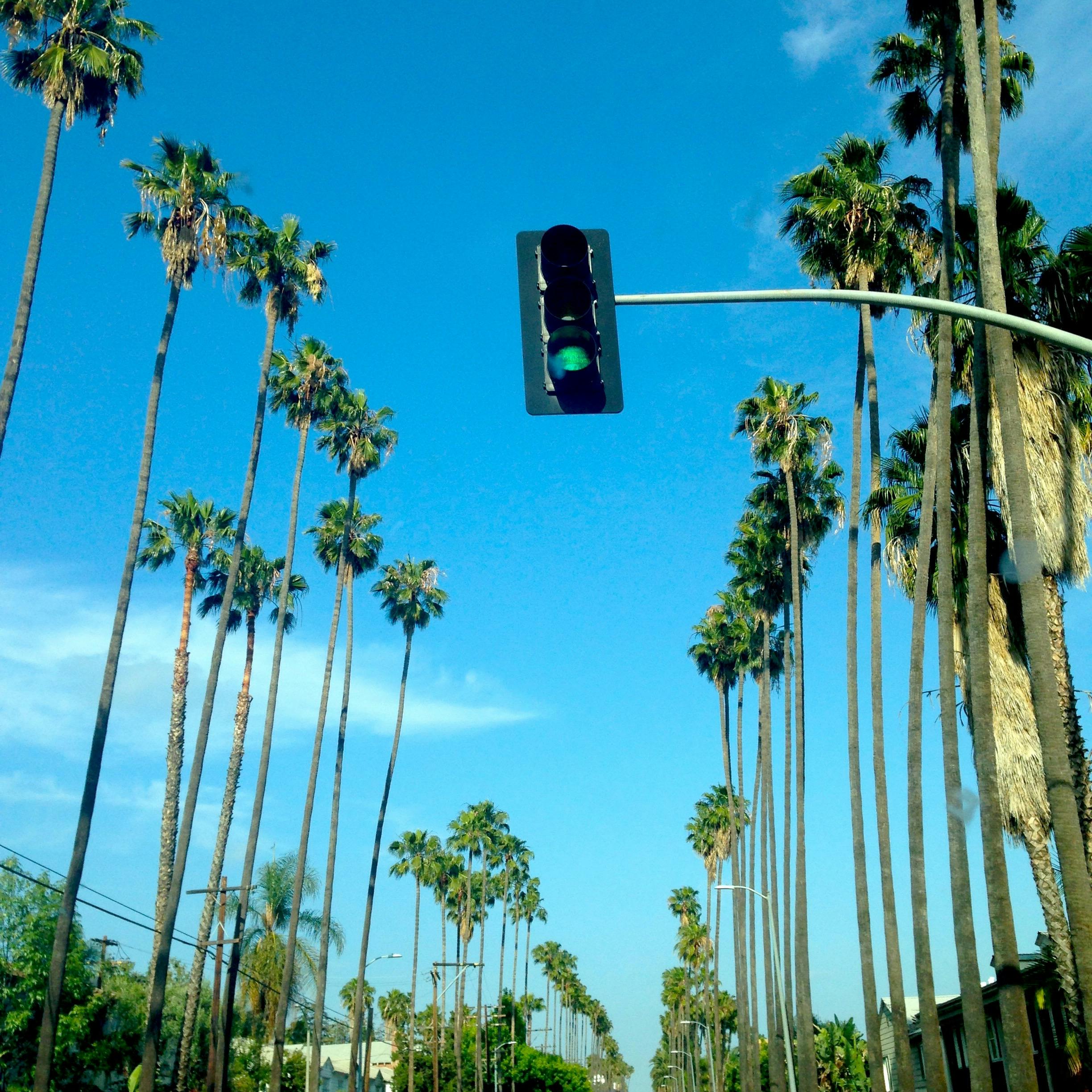 traffic light at green