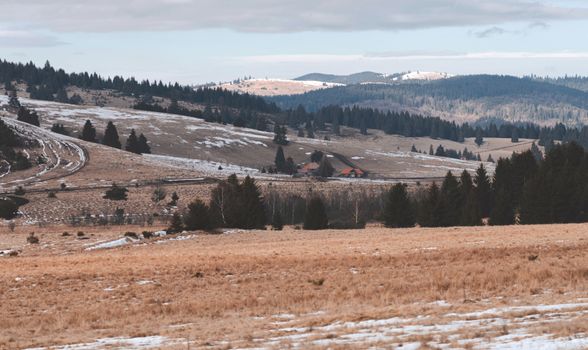 Peaceful rural winter landscape in Covasna, Romania, showcasing snow-covered hills and evergreen forest.