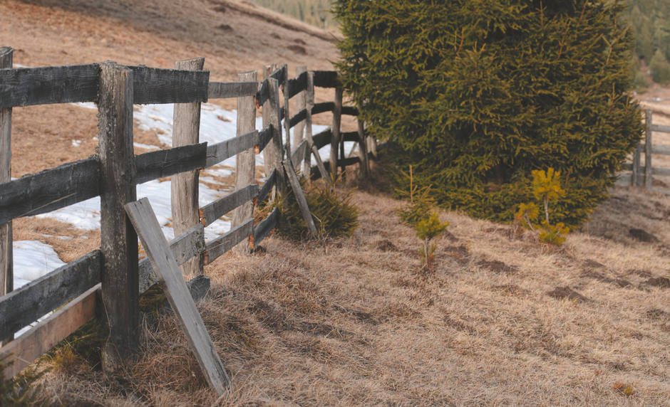 Best Fence Builders in McKinney, TX (2026)