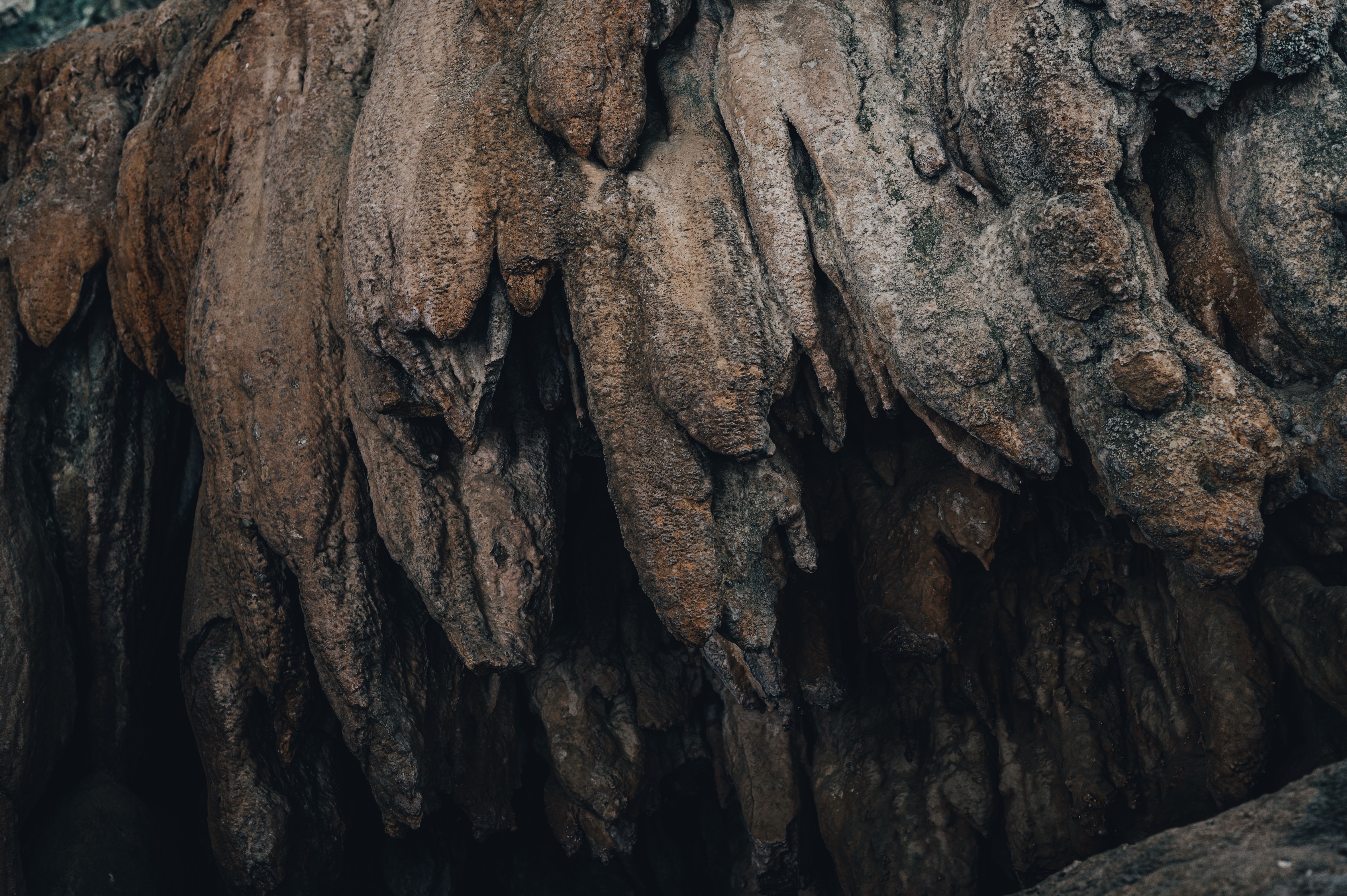 Travel inspiration for A Cultural Explorer’s Source-Faithful Tongatapu Island Journey