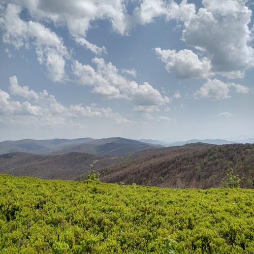 Foto d'estoc gratuïta de bieszczady, cims, contrast