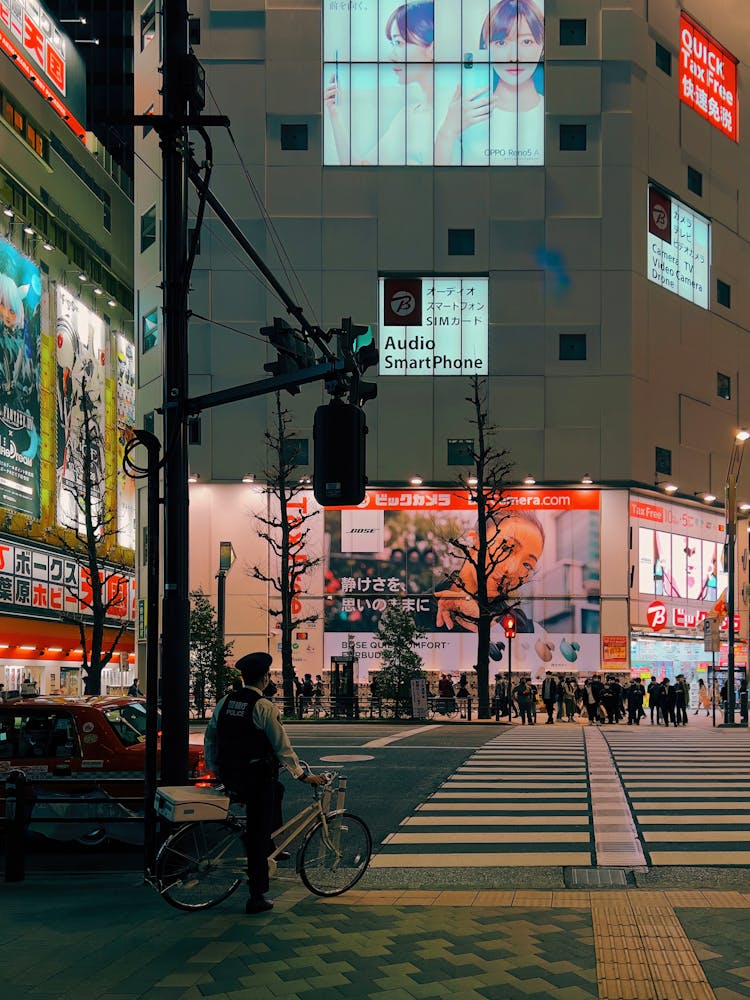 Crosswalk, Akihabara, Tokyo