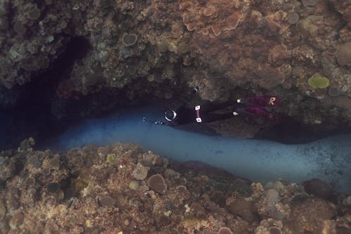 Underwater Photo of a Scuba Diver Swimming among Coral Reef