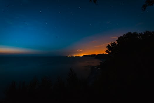 黄昏时分，海洋的景色令人惊叹，远处是明亮的地平线与树木的轮廓