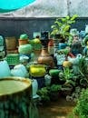 Green Potted Plants on Brown Clay Pots