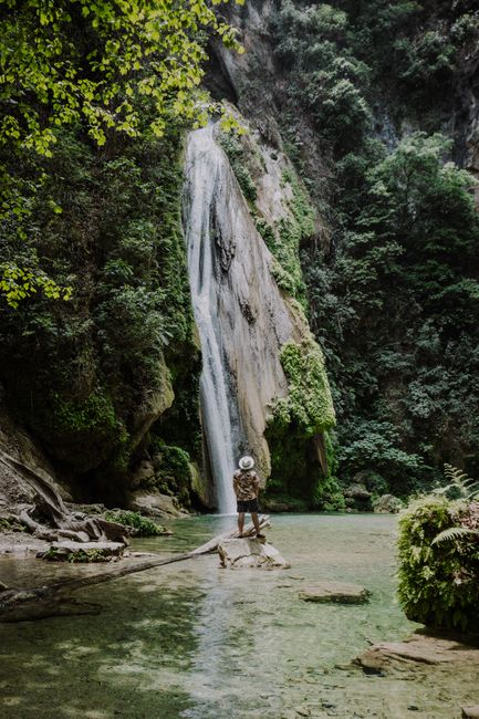 A man stands on a log, admiring a scenic waterfall in a lush forest setting.
