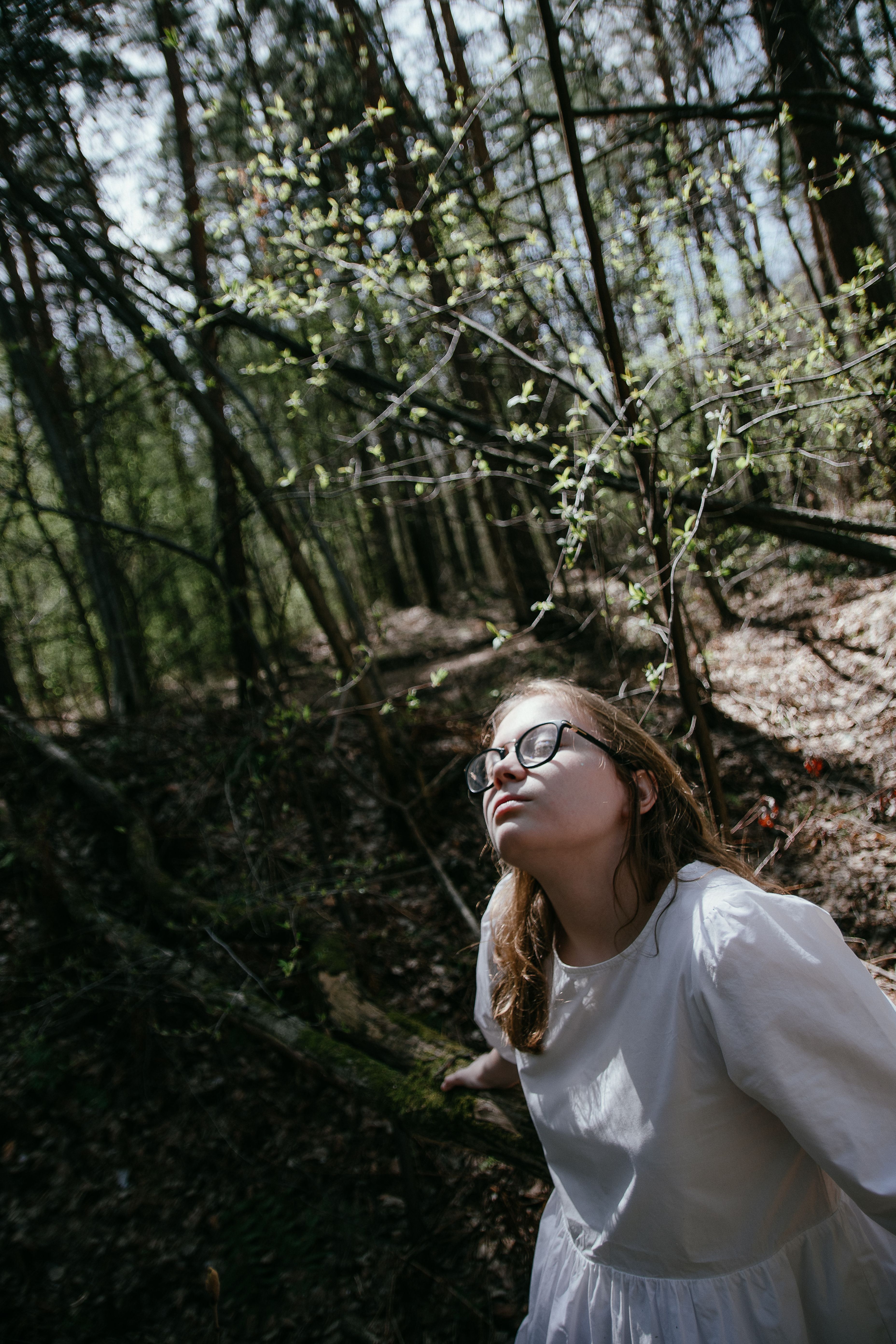 Forest Bathing Photos, Download The BEST Free Forest Bathing Stock ...