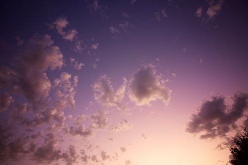 Free stock photo of beautiful sky, purple, sunset