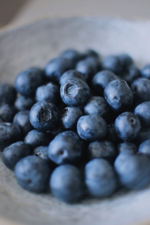 Blueberries in a Bowl