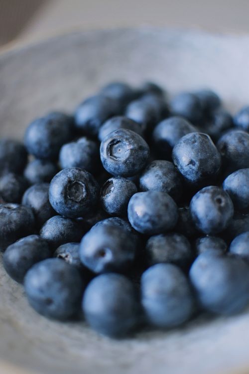Free Close-up shot of fresh, organic blueberries in a bowl, highlighting their rich blue color. Stock Photo