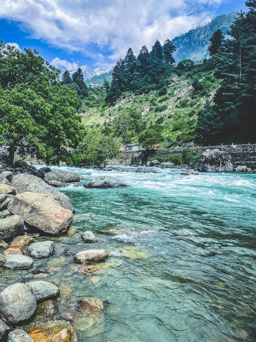 Free Surrounded by some sweet and soothing foliage, these pretty Kashmir waterfalls are a sight for sore eyes. Stock Photo