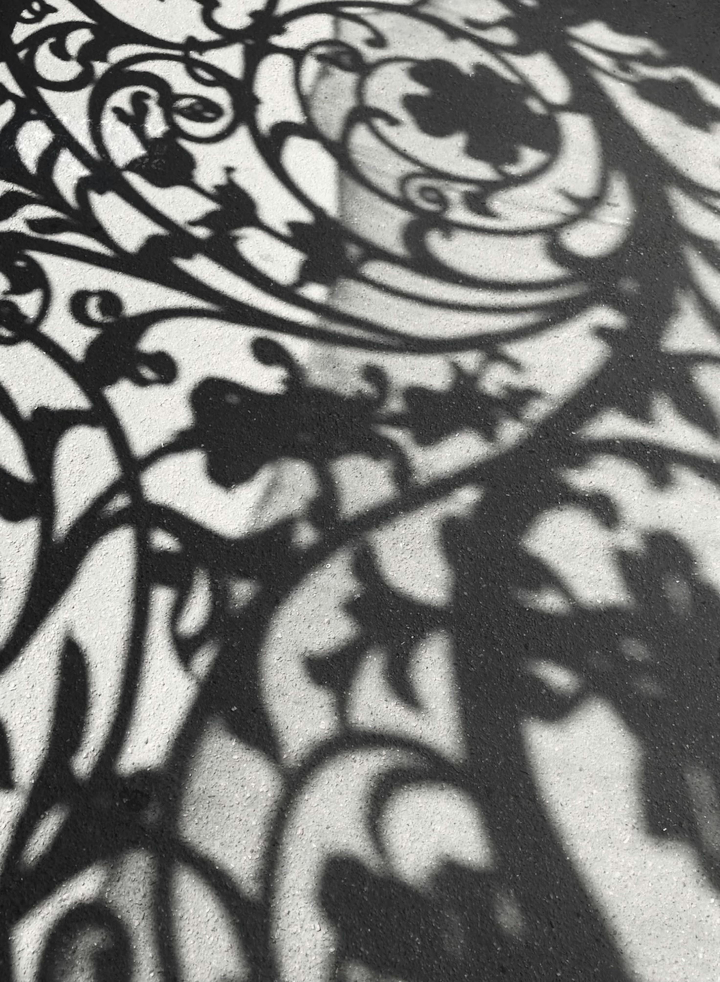 Artistic shadows cast by elaborate scrollwork create captivating patterns on a textured surface.